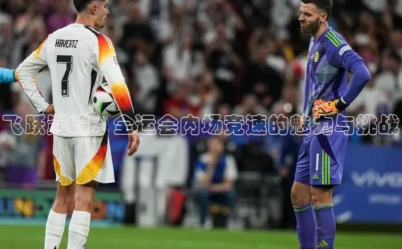 中欧体育官方平台入口网址