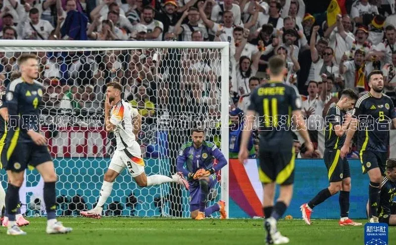 中欧体育app下载